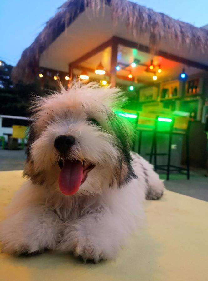 Antwet Backpacker's Inn&Rooftop Bar Dumaguete City Buitenkant foto